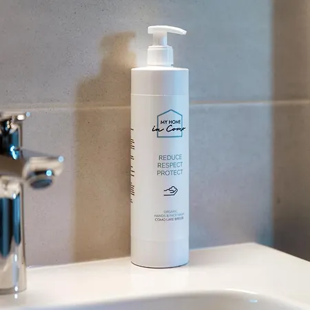 Lake's Dream - By Myhomeincomo オッスッチョ